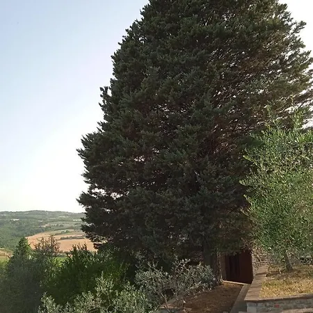 San Giorgio Casa Contadina Vakantiehuis *